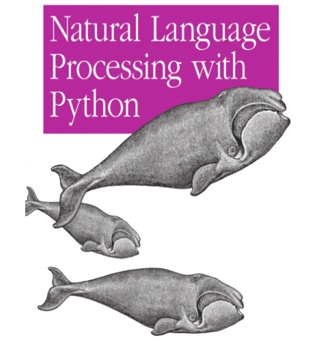 PYTHON自然语言处理(中文最新完整版)pdf下载