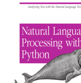 用Python进行自然语言处理 中文PDF扫描版[3MB]