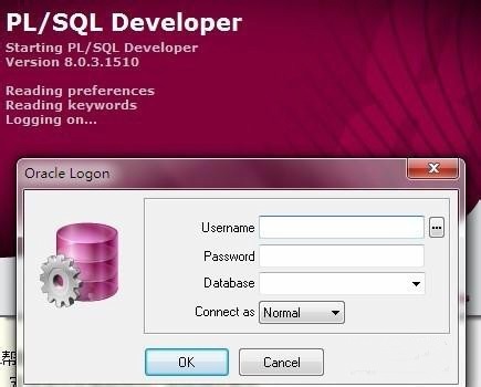 PL/SQL Developer13 64位 32位 汉化版下载