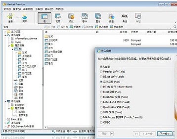 Navicat Premium v15.0.26.0官方版(32/64位)